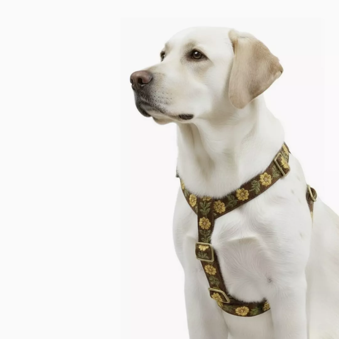 MITRAYA Floral Embroidered Dog Step-In Harness, Fancy Pet Harness with Coral and Pink Flowers, Adjustable and Durable Harness