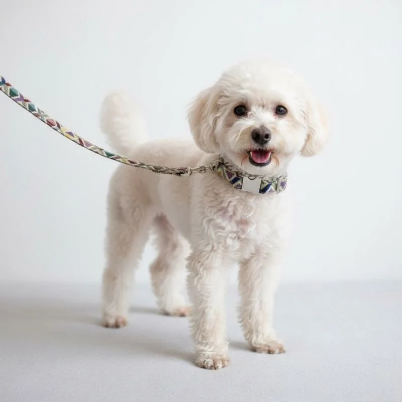 MITRAYA Geometric Pattern Dog Neck Collar, Denim Jacquard Canvas, Multicolour Geometric Design, Adjustable with Buckle, Fancy and Stylish Dog Collar