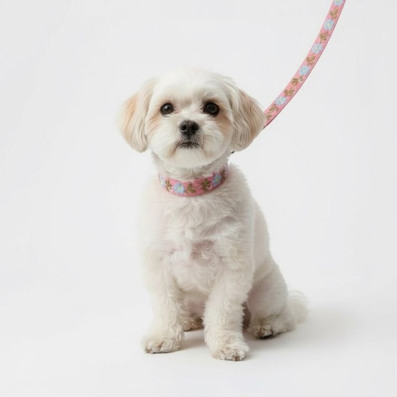 MITRAYA Premium No-Pull Dog Collar, Pink Cotton with Floral Pattern, Metal Buckle Closure, Adjustable Neck Band