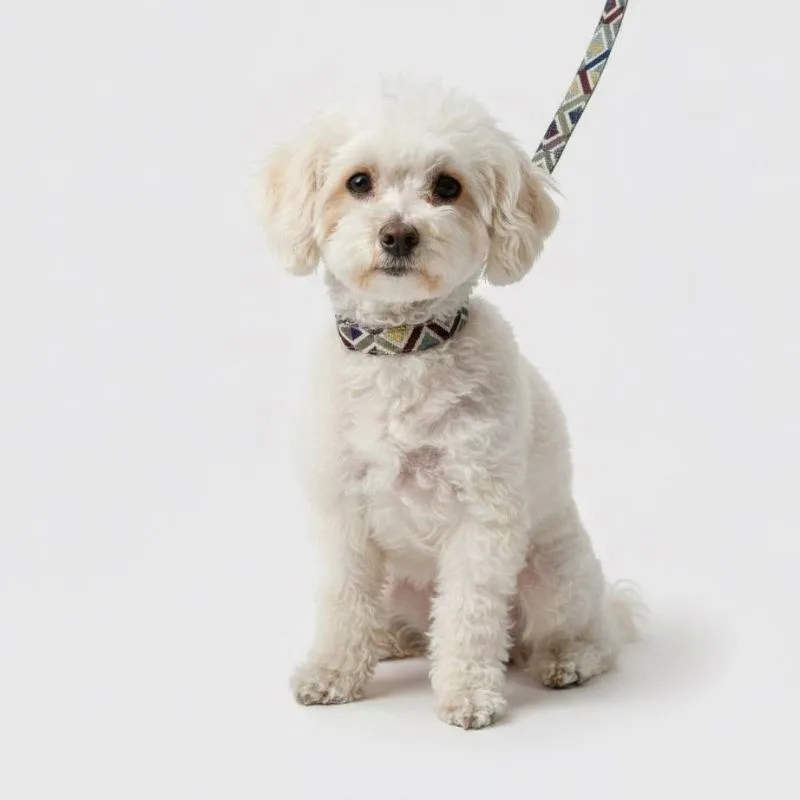 MITRAYA Geometric Pattern Dog No-Pull Neck Collar, Denim Jacquard Canvas, Multicolour Geometric Design, Adjustable with Buckle, Fancy and Stylish Dog Collar