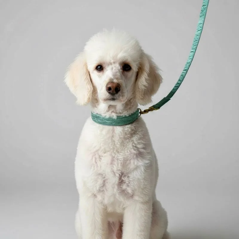 MITRAYA Adjustable Dog Leash, Sage Green Textured Cotton, Medium Breed Pet Walking Leash