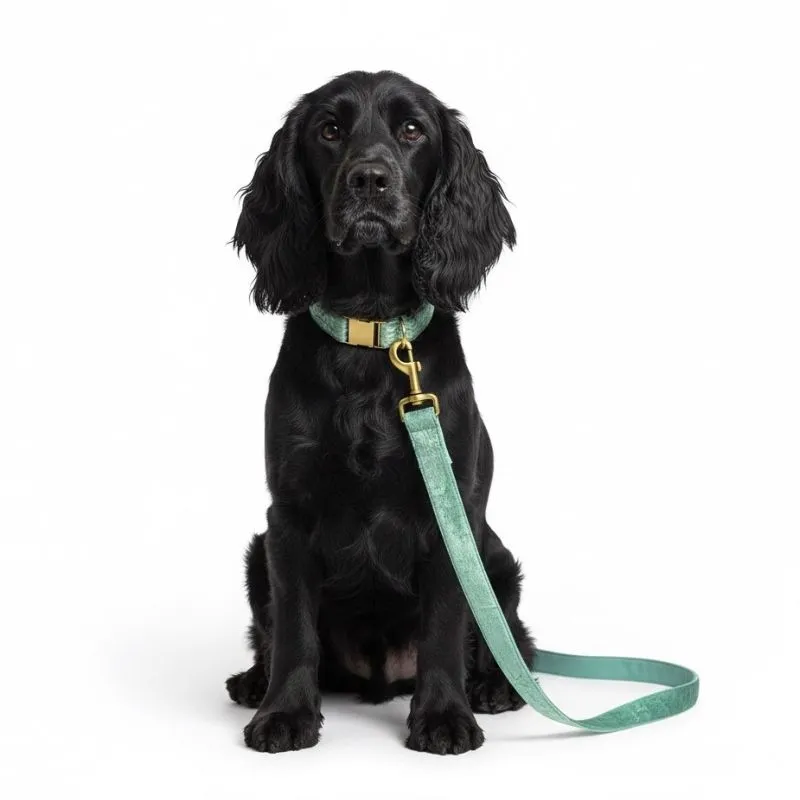 MITRAYA Premium Dog Collar, Satin Dog Collar, Sage Green with Brass Hardware