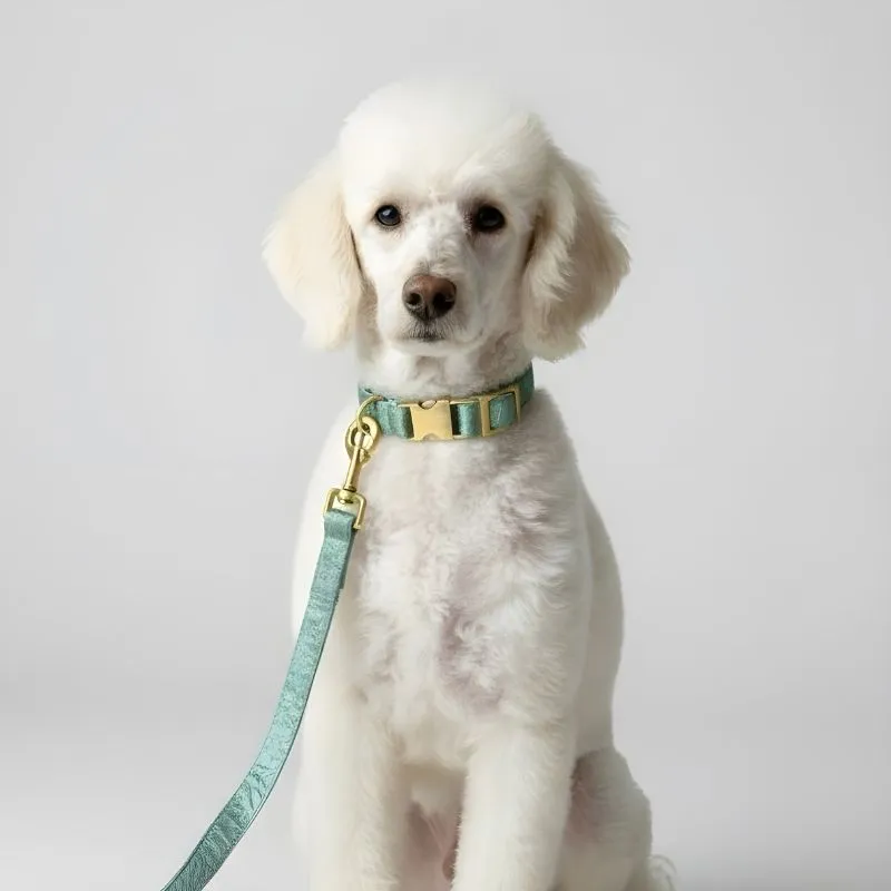 MITRAYA Premium Dog Collar, Satin Dog Collar, Sage Green with Brass Hardware