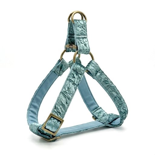 Sea Aqua: Step-In Harness