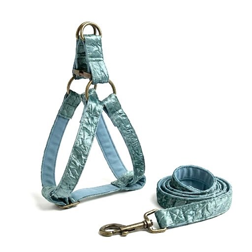 Sea Aqua: Step-In Harness