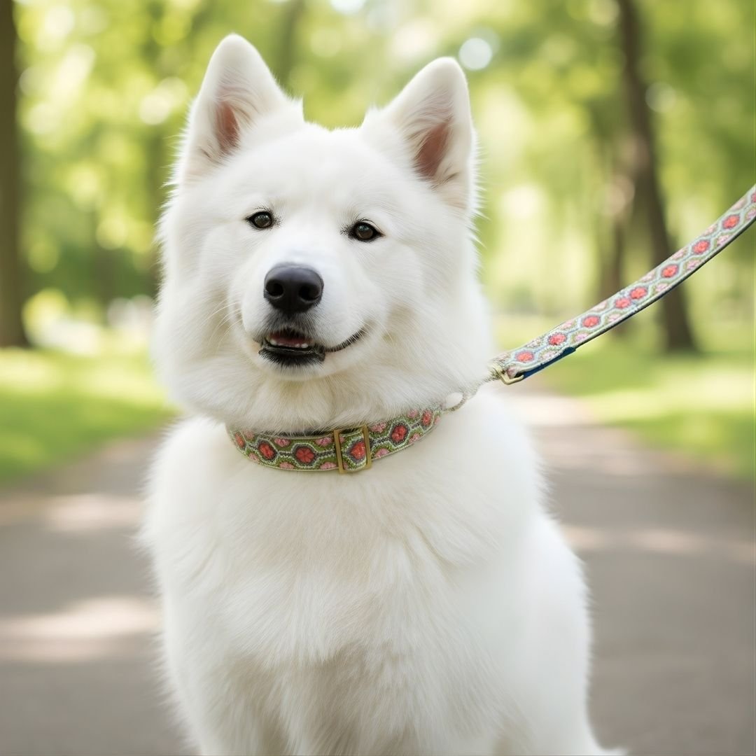 MITRAYA Embroidered Dog Collar, Floral Pattern with Coral and Pink Flowers, Nylon Material, Traditional Style, White Multi-Color, Adjustable Hook and Loop Closure