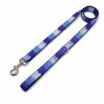 Frost Fade: Adjustable Leash