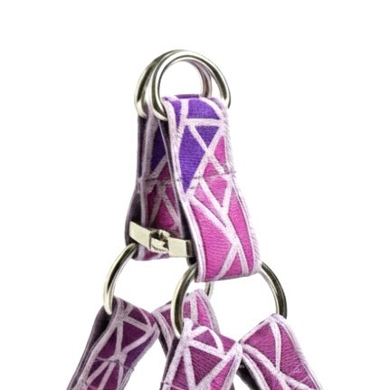 Berry Shard: Step-In Harness