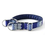 Frost Fade: No-Pull Neck Collar