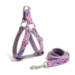 Berry Shard Harness