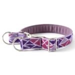 Berry Shard: No-Pull Neck Collar